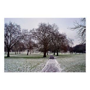 Trees in Primrose Hill Camden London Poster