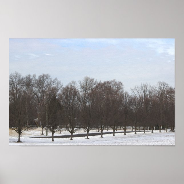  Trees in Snow Poster (Front)