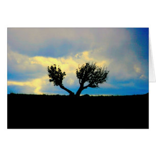 Trees in the Desert