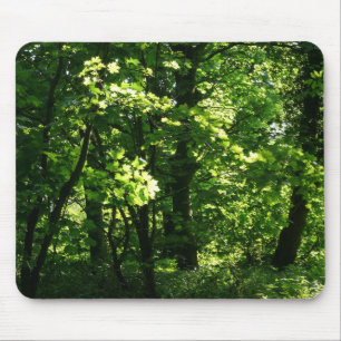 Trees in the Spring. Bute Park, Cardiff. Wales Mouse Pad