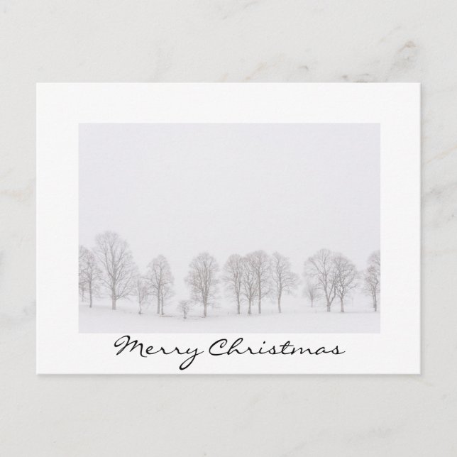 Trees in winter in a white world christmas card (Front)