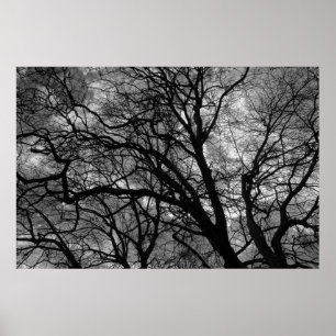 Trees in Winter Poster