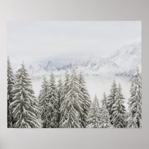 Trees in winter poster