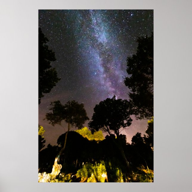 Trees landscape with milky way poster (Front)