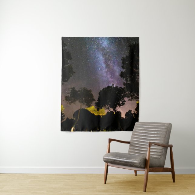 Trees landscape with milky way tapestry (In Situ)