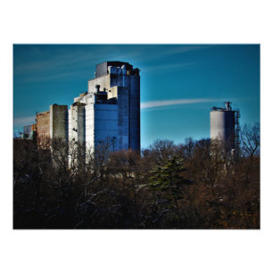 "Trees: Limited Time Only" Photo Print