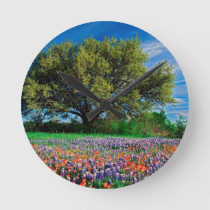 Trees Live Oak Among Texas Bluebonnets Round Clock