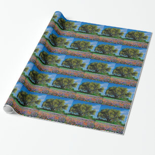 Trees Live Oak Among Texas Bluebonnets Wrapping Paper