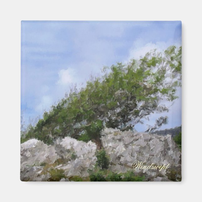 TREES MAGNET (Front)