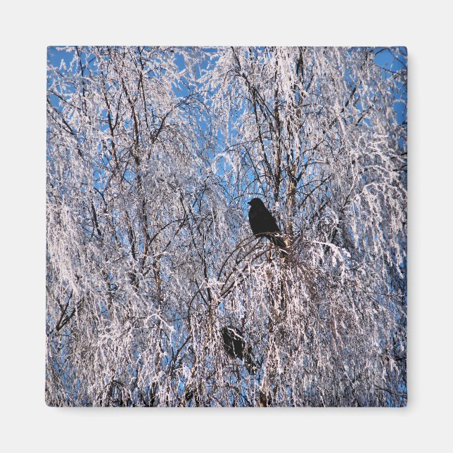 TREES MAGNET (Front)