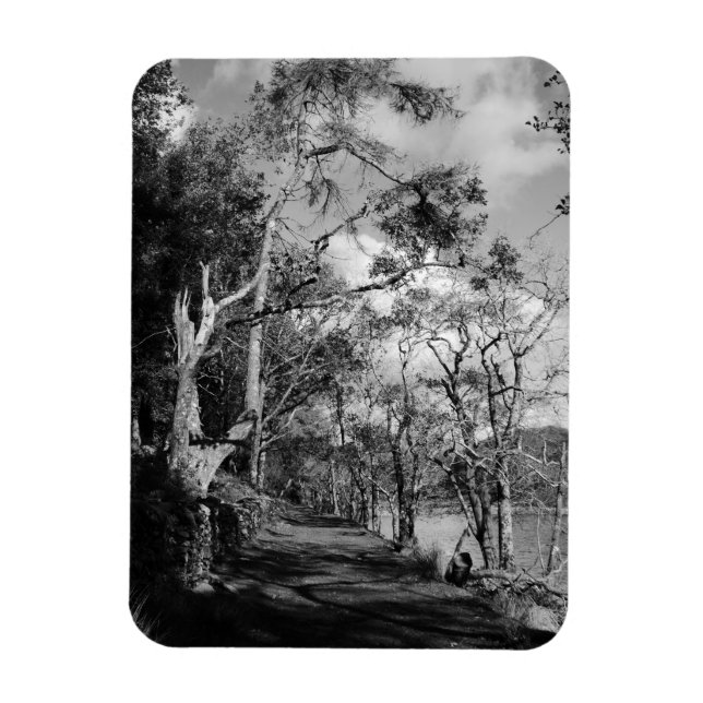 TREES MAGNET (Vertical)