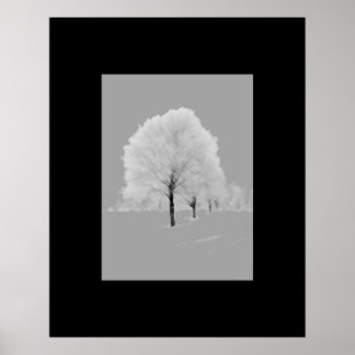 Trees - matted, black & white wall art