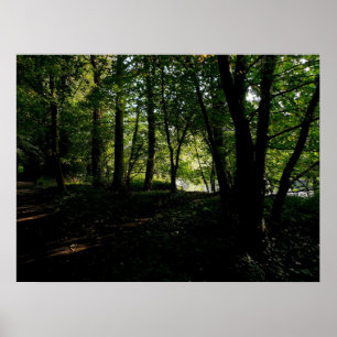 Trees near the River Poster