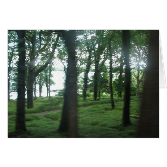 Trees of County Kerry Card