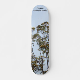 Trees of growth and learning skateboard
