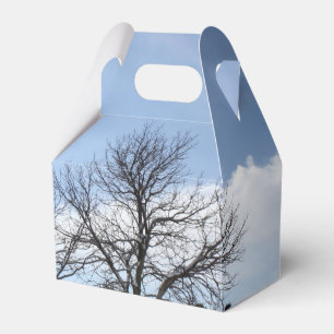 Trees on a Sunny Winter Day Favour Box