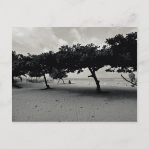 Trees on Sanur Beach in Bali Postcard