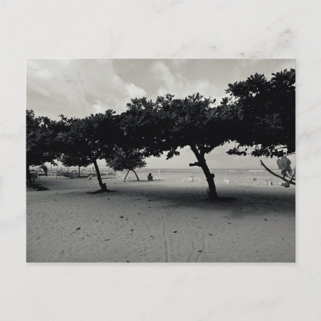 Trees on Sanur Beach in Bali Postcard (Front)