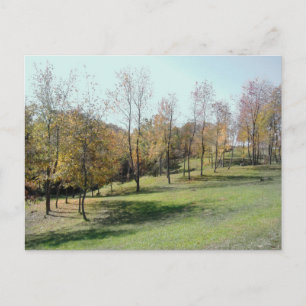 Trees On Slope 2004 Photo Post Card