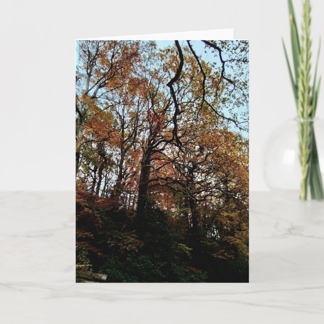 Trees , on the bank card (Front)