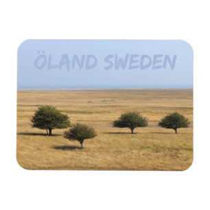 Trees on the Savannah, Öland, Sweden Magnet