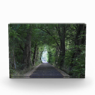 Trees Photo Block