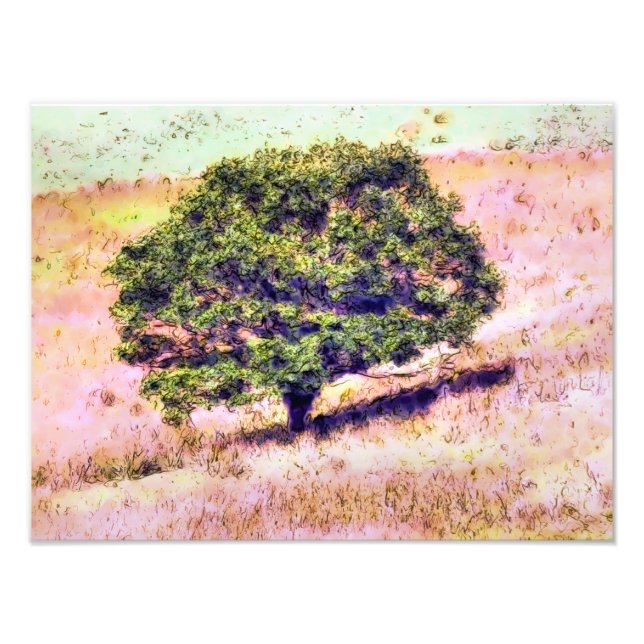 TREES PHOTO PRINT (Front)