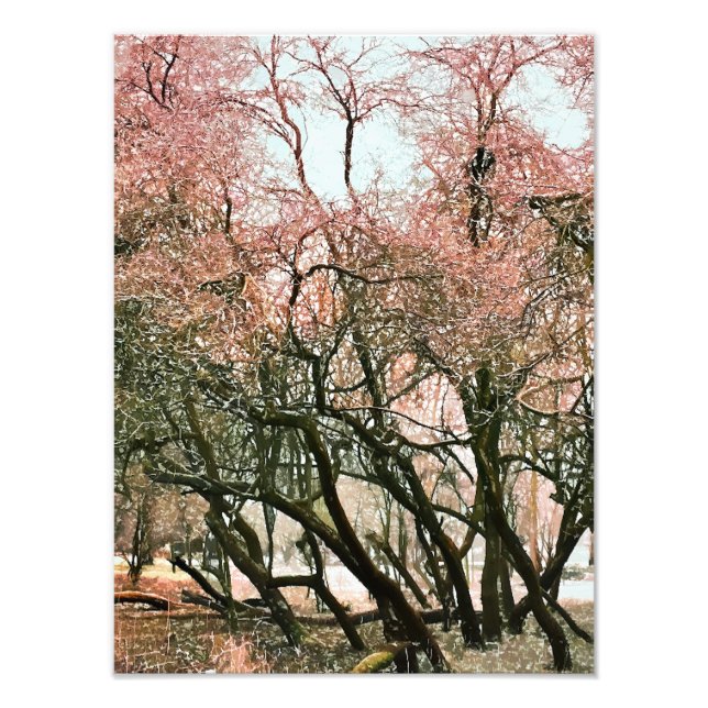 TREES PHOTO PRINT (Front)