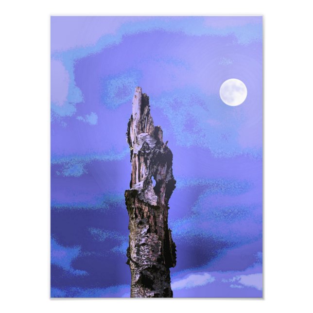 TREES PHOTO PRINT (Front)