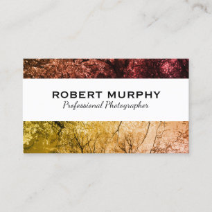 Trees   Photography Variation Business Card