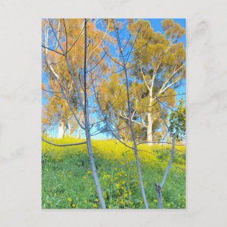 Trees Postcard