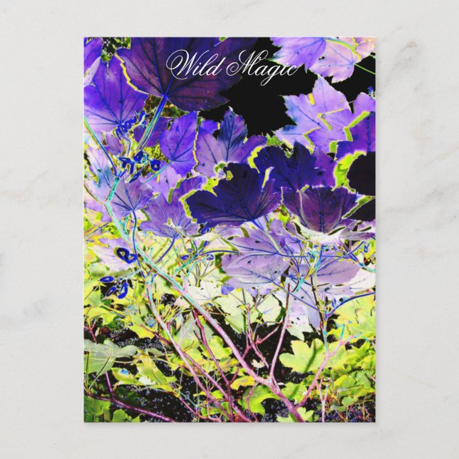 TREES POSTCARD (Front)