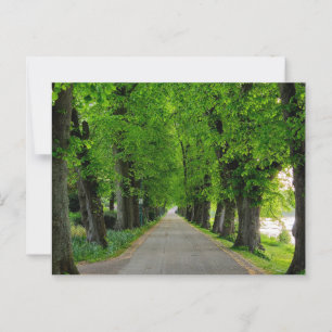 Trees postcard
