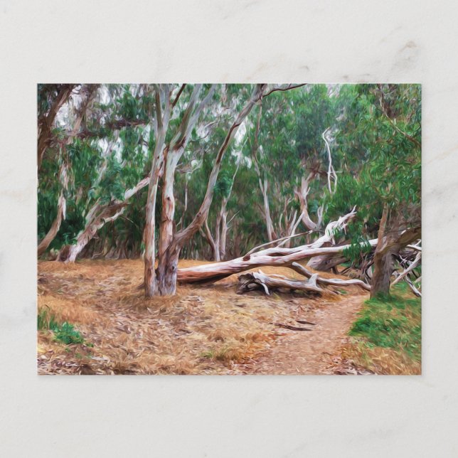 Trees Postcard (Front)