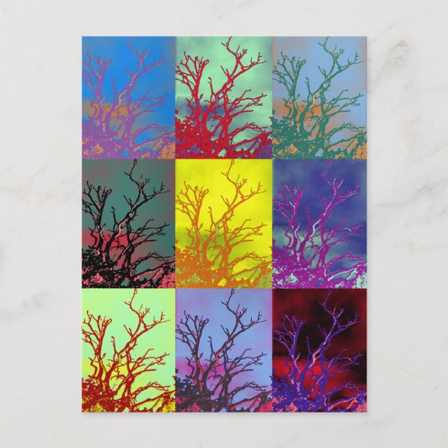 TREES POSTCARD (Front)