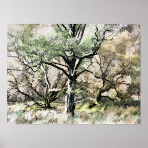 TREES POSTER