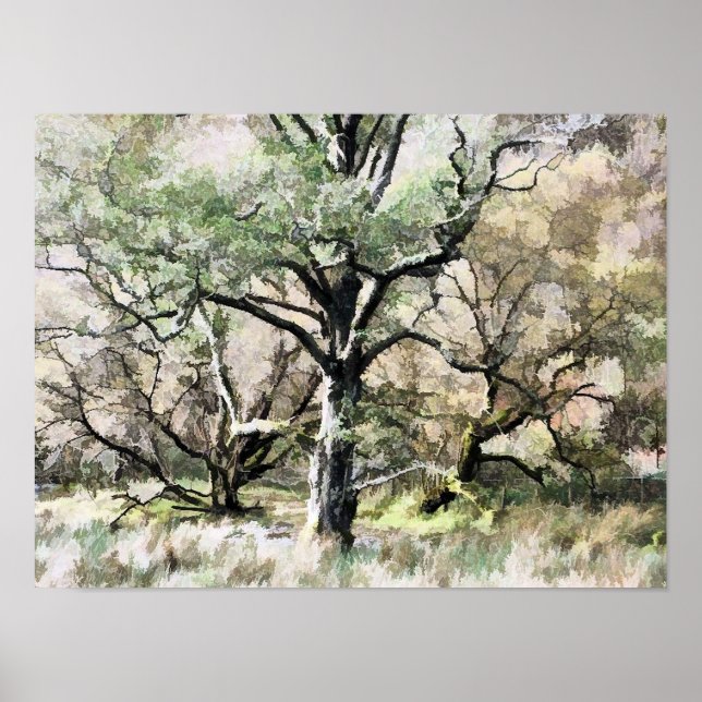 TREES POSTER (Front)