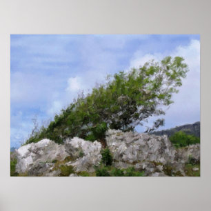 TREES POSTER