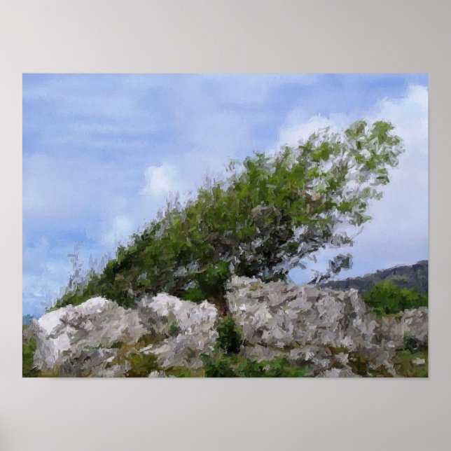 TREES POSTER (Front)