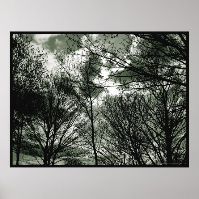 Trees | Poster (Front)