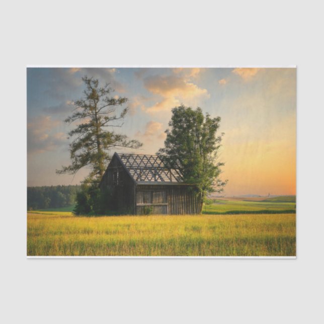 Trees Protecting a Half-Finished Barn Tissue Paper (Front)