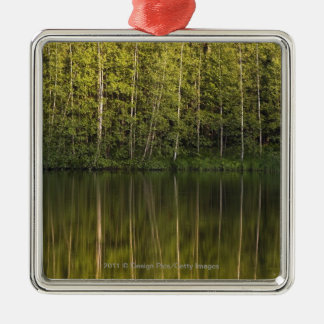 Trees Reflected In The Water Metal Tree Decoration