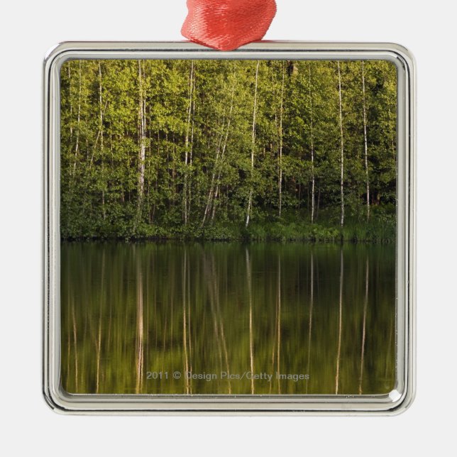 Trees Reflected In The Water Metal Tree Decoration (Front)