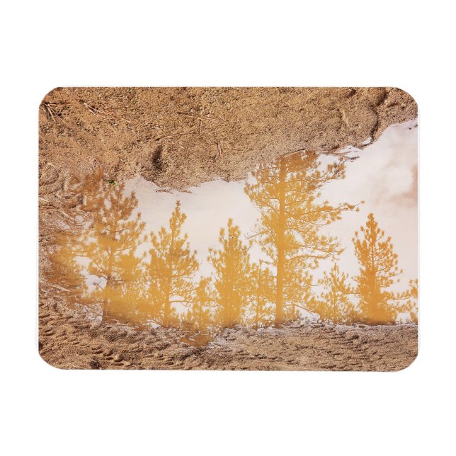 Trees reflecting in rain mud puddle water magnet (Horizontal)