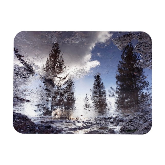 Trees reflecting in rain puddle water magnet (Horizontal)