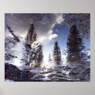 Trees reflecting in rain puddle water poster