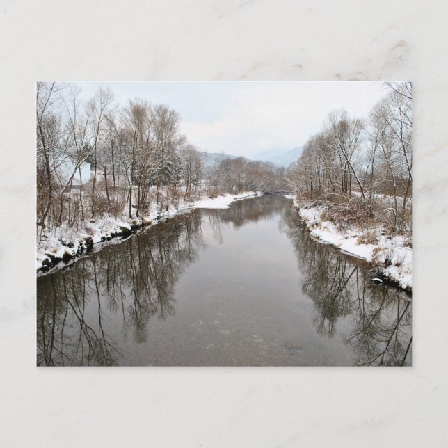 Trees Reflecting in River Postcard (Front)