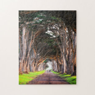 Trees Scenic Puzzles Mountain Art Complex Jigsaw