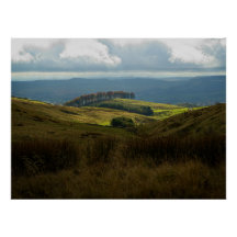 Trees sitting on sunlit hill in early autumn
