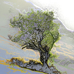 TREES STATIONERY